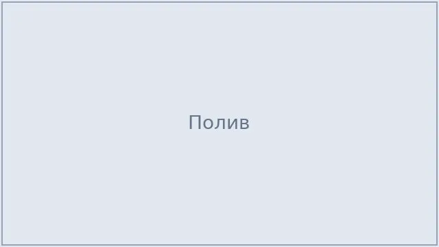 Полив